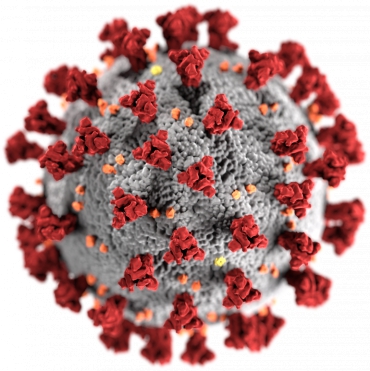 Lutte contre la pandémie du Coronavirus ( COVID19 )